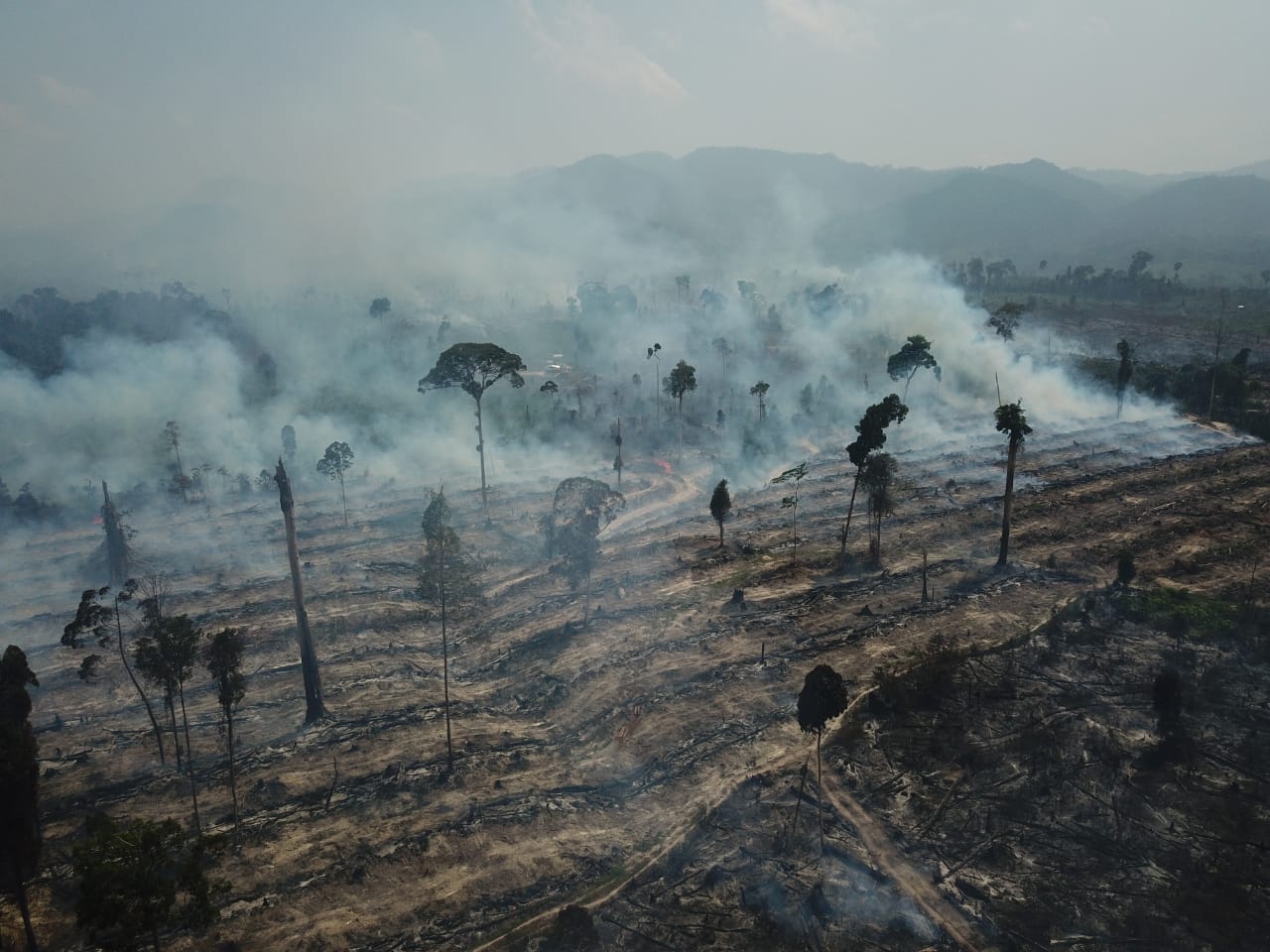 Tim Satgas Karhutla Berhasil Padamkan Kebakaran di Tebo